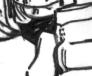 hawkeye5x2.jpg